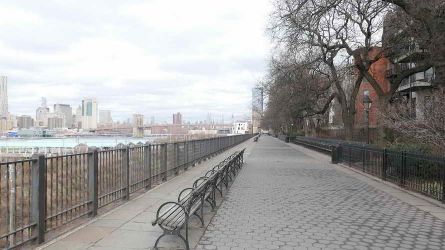 NYC_2020-01-28 11-53-46_P1080283